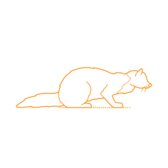 Animals Mustelids Sable Craft Design Svg File, Free Vectors File